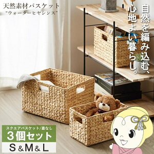 y12/1Gg[œXSiőP7{zVRfރoXPbg EH[^[qVX XNGA3Zbg ӂ  JS IW-56y/srmz