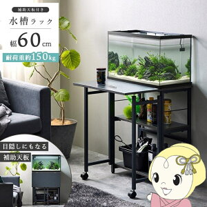 y11/18_ChȂ瓖XSiőP8{z 60cm 3i bN ω׏d150kg X^h I Ƒ ܂肽ݓV ⏕V  @\ ȃXy[X y/srmz