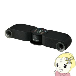 �e���r�p�X�e���I�X�s�[�J�[ DOSHISHA �h�E�V�V�� GRAND�ESPEAKER �O�����E�X�s�[�J�[ GS-SP1�y/srm�z
