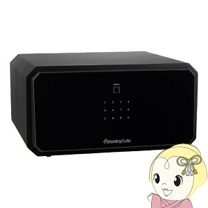 �y�݌ɂ���z���� �Z���g���[���{ Sentry �w��F��/�e���L�[�� ��31L ��14kg A4 �}�b�g�u���b�N JW-23FP�y/srm�z