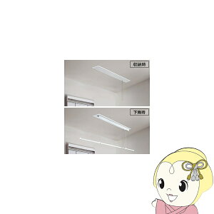 �p�i�\�j�b�N �������������j�b�g �z�V�P�T�} �V��t�� ������ �蓮�^�C�v �V���[�g�T�C�Y CWFBT11SM �iCWFT11SM�̌�p�i�j�y/srm�z