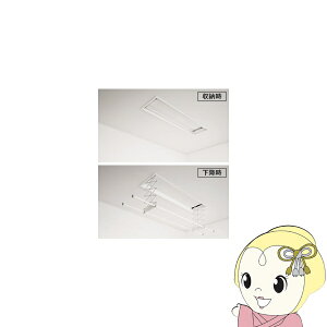 �p�i�\�j�b�N �������������j�b�g �z�V�P�T�} �V��t�� ��2�{ �d�� ������ �����O �Ǖt���X�C�b�`�^�C�v CWFBT21LA �iCWFT21LA�̌�p�i�j�y/srm�z