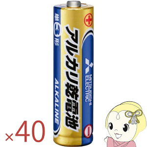 �y10�p�b�N�Z�b�g�i40�{�j�z�O�H�d�@ �A���J�����d�r �P�O�d�r 4�{���� LR6N/4S