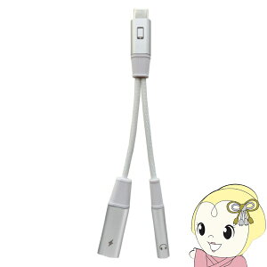 Type-C to 3.5mm DAC�ϊ��A�_�v�^�[ Sonollo �\�m�� IRT-SNL01 �z���C�g �C���z�� �ϊ��A�_�v�^ DAC���� �^�C�vC �[�d 2in1