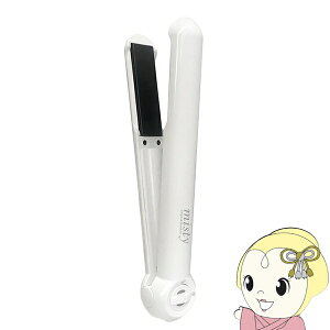 �J�V���� NTD-21 �����E�C�O���p �R�[�h���X �w�A�A�C���� �X�g���[�g �X�g���[�g�A�C���� �C�O�Ή� �ϔM�|�[�`�t�� / TD-21�̓����i