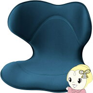 【4/18限定 ダイヤモンド会員ならエントリーで当店全品最大P8倍】【在庫限り】座椅子 コンパクト 腰痛 ス…