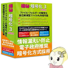 【期間限定クーポン発行 6/4 20時~6/5中迄】FL8171 フロントライン 極秘・暗号化3 PRO Windows10対応版【KK9N0D18P】