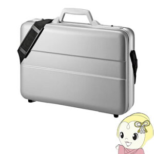 y11/15͊ԌN[|szBAG-ABS5N2 TTvC ABSn[hPCP[Xi14C`Chjy/srmz