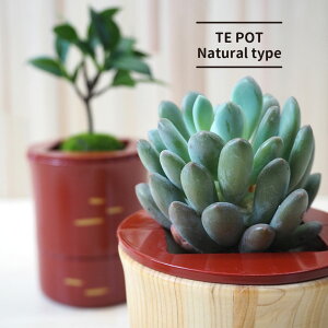 yTe PotsStandardtzؐ v^[ p  i` { IBw IB [v^[ `H| {炔҂ ؍H{ LEXUS a̎R\ NTX v[g Mtg 