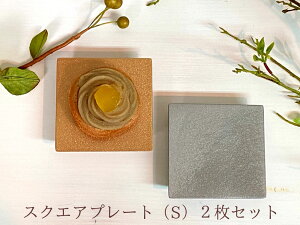 XNGAv[g S 2Zbg zS[h Vo[ M e[uR[fBl[g i ؐ CeAG ĂȂ v[g `  7cm CX^f  I[hu s`X 