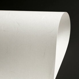 日本製 和紙 IJ白柳 | 大礼柄 やなぎ 文様 和柄 A判 A4 A3 B判 B5 B4 プリント和紙 インクジェット レーザープリンタ フォーマル スタンダード 伊予和紙