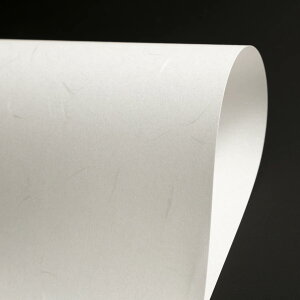 { a IJ | 畿 Ȃ l a A A4 A3 B B5 B4 vga CNWFbg [U[v^ tH[} X^_[h ɗ\a