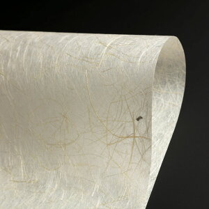 日本製 和紙 金和紙 | 装飾用 麻繊維 光沢感 張り感 透け感 高耐久性 ランプシェード 壁紙 インテリア ディスプレイ ラッピング クラフト 阿波和紙