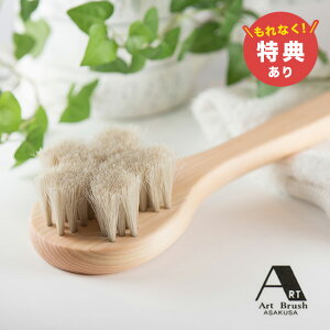 _T^A[guV nт̃{fBuV  NIpg B000075[{fBuV n _炩 w  C   C {fB uV {fB[uV] [