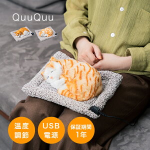 Aj}zbgEH[}[ QuuQuu N[N[[dCJC 킢  L ʂ USBd  x USB g ӂӂ ₦΍ NbVq[^[ zbgEH[}[ fXN