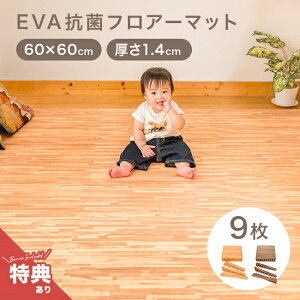 _T^EVA RۃtA[}bg [W 60cm×9 1.4cm[vC}bg Ԃ h xr[ tA}bg t[O ؖ WCg}bg 唻 傫 傫 傫TCY 