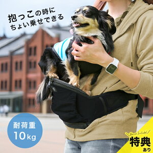 �_���T����^EIGHTEX �G�C�e�b�N�X �q�b�v�V�[�gLight[�q�b�v�V�[�g ���x���g�t�� �������R �� 10kg ��t�� �y�b�g�L�����[ ���^�� ���^�� �L�����[ �X�����O �J�o�� �y�b�g �U�� �o�b�O ���o�|