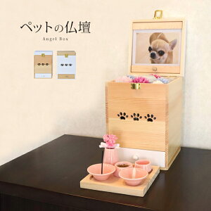 Angel Box Vg̃{bNX^d[ybgp d ybgd 킢  L ybg    uꏊ rO ybgpd  L d  [ ot] [J[