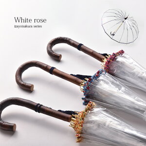 _r[T^\Z Ԃ[P  { zCg[Y fB[X IV P v ϕ J 58cm  VR  D y y ԕ Mtg v[g ̓ 