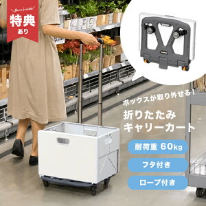 _T^܂߂J[g{bNX Q-FOLD PRO[L[J[g ܂肽 4 É J[g y  {bNX ܂ [ ܂肽݃{bNX t^t L[ Vbs