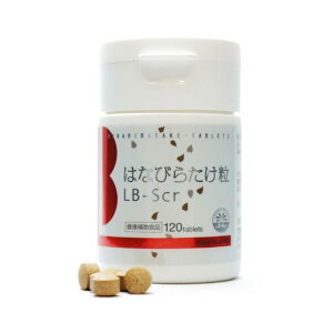 _r[T^͂Ȃт炽 LB-Scr 120[N Tv Tvg NHi   nir^P Ԃт炽 IT͂Ȃт炽 { Hi 40 50 60 H T|[g]