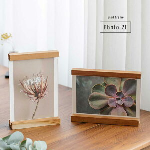 _T^Ebh oCh z_[ ʐ^ 2L[ؐ t[ tHgt[   ʐ^  킢  ؐt[ rO   Ƒ Ԃ ǂ 