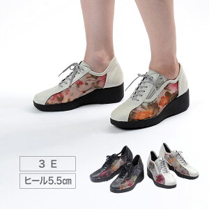 ԕbV̂V[Y[fB[X q[5.5cm V[Y 3E  t  bV Xj[J[T_ ܐ悠 ~ZX 50 60 70   ꂳ ΂] 1-2W