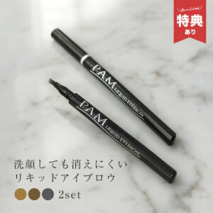 \特典あり/PAM パム リキッドアイブロウ プラチナライン《同色2本》[アイブロウ 落ちない 眉ティント リキッドアイブロウ 眉 ウォータープルーフ リキッド ティント 汗 水 強い 消えない