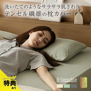 _T^B-Sensible s[P[X 50×70cm[Jo[ 50×70 s[P[X s[Jo[ t@Xi[t  Jo[ hJo[ 50 70  h h_j Q 悾 ΍ ObY]