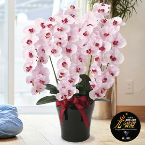 ̊y v~AӒ5{P[Ӓ j   ϗtA  Mtg G} tFCNO[ sN F 蕨 v[g ͂Ȃ₩  A  CeA j 