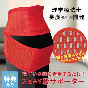 _T^Ղ̐ԍ搶[T|[^[  T|[^[ xg xg pT|[^[ pxg pT|[gxg AQp PA ȒP _炩  fB[X Y  j 