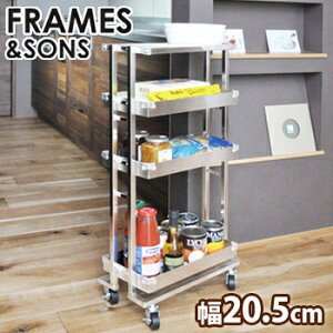 _T^FRAMESSONS XeX RpNgS DS102[{̃LX^[tLb`S VvȃfUC̃XeX̃SbN EƑɃLb`̃LX^