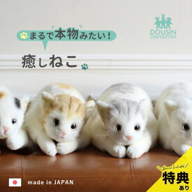 ＼特典あり／猫のぬいぐるみ 58cm [本物みたいな リアル ネコ ぬいぐるみ 猫 ねこ 癒し かわいい] 即納