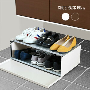 \特典あり/ガルバ棚の下駄箱下収納 W60 2324[下駄箱下 収納 キャスター付き 玄関 靴 収納棚 2段 幅60cm ボックス 追加 増やす 収納 靴収納 キャスター 見せない 見えない おしゃれ シンプル 省