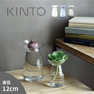 _r[T^KINTO Lg[ ANAJ`[x[X LTCY[ԕr KX t[x[X  Vv  NA k 2WAY  A  ͔| k͔| Ă 