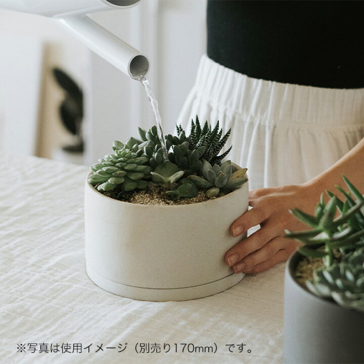 3万2千円相当】オザキフラワーパーク観葉植物10種類/KINTO鉢5種類/セット