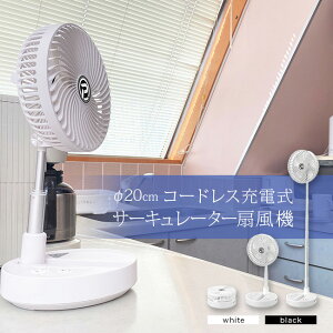 PANERGY R[hX É T[L[^[@ a20cm[R[hX T[L[^[  @  ߗފ     Â y DC[^[ DC [^[ H 5]