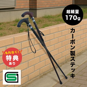 _T^ J[{XebL[ XebL  J[{ ؐ {   y j    SG }[N  ̓ ̓ fB[X Y VjA 