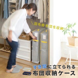 RpNg D[At@ ܗp[zc [ Jo[ zc[ Hѕzc zc[ k [ v VO  k ߗ zc sDz RpNg X ĂĎ[ Еt ӂƂ