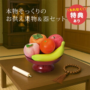 _T^Ȃpʕ 5_Zbg K14779[ ʕ tFCN t[c tFCNt[c     ~ @ ~ HiTv d t[c 