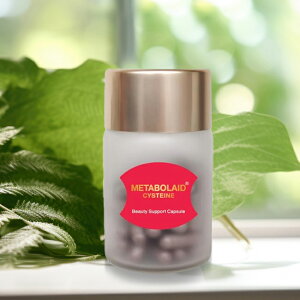 _T^^{ChVXeC 60[Tvg e N _CGbg T|[g Tv _CGbgTvg _CGbgTv ^{Ch VXeC JvZ ^Cv ݂