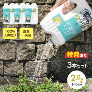 t̃~lts3Zbgt[ { t VR ybg  S _sgp  t Uz  G  ֐ K[fjO   A ނ d K[