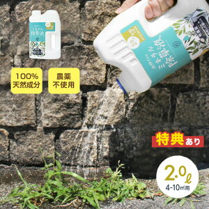 t̃~lt[ { t VR ybg  S _sgp  t Uz  G  ֐ K[fjO   A ނ d K[f _ sg