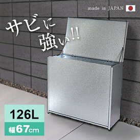 ＼レビュー特典あり／屋外ゴミ収納庫 中 幅67 A031[大型 ゴミ箱 屋外 屋外用 家庭用 大きいサイズ 外置き カラスよけ 大容量 シンプル おしゃれ ごみ箱 収納ボックス ストッカー 外 物置き ごみ ゴミ置き場 家 サビにくい 錆びにくい 集積庫] 即納