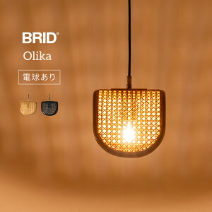 Olika IJ ^ y_gv 1 d 003396[y_gCg ԐڏƖ VƖ y_gvVF[h Ɩ  i` a k ؍  CeA _Cj