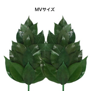 vU[uh MVTCY FS-011ML[ TJL ͂Ȃ  ȒP sv A  c Y { ֍ Vv y y vU[uh  _I   ~ ފ ƒp 1