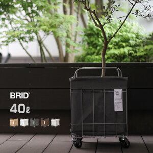 BRID tH[fBO h[XNGAoXPbg 40L LX^[t Ch^Cv[h[oXPbg  󂩂 󕨂 JS 󕨃JS h[ oXPbg 