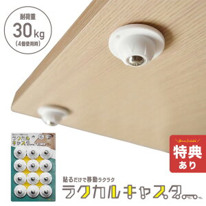 _T^NJLX^[ zCg[\邾 LX^[ ω׏d 30kg \   ׏d ֗ObY Ƌ ړ z z Ђ  ͗lւ t t yLX^
