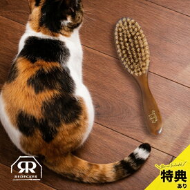 ＼特典あり／REDECKER レデッカー キャットブラシ re491019[ペット用ブラシ 猫用ブラシ 猫 ブラシ 豚毛ブラシ 毛並み お手入れ 掃除ブラシ 毛取り ペット ネコブラシ ペットの毛 取り ペットブラシ マッサージ ボディケア 抜け毛クリーナー]
