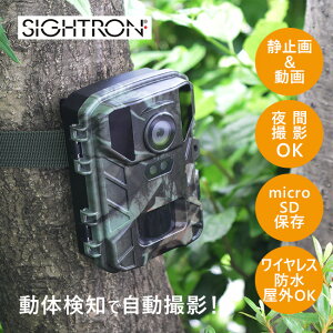 ԊOlBe4KJ STR-MiNi800[ԊOJ ԊO J hƃJ h hƑ΍ dr dr h  ^ RpNgBe L^ microSD ۑ tt BemF CX] 1-2W